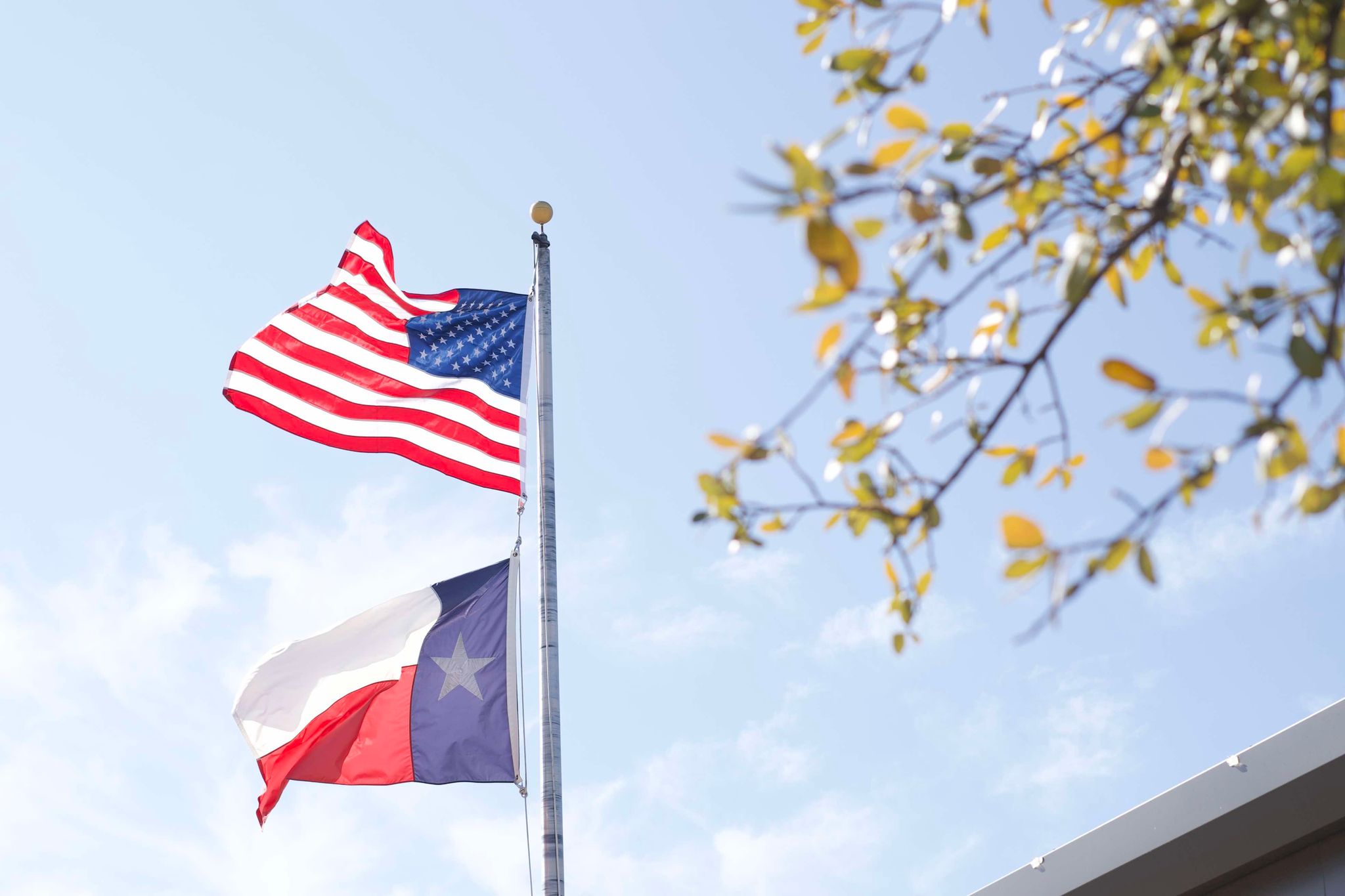 USA Texas Flags